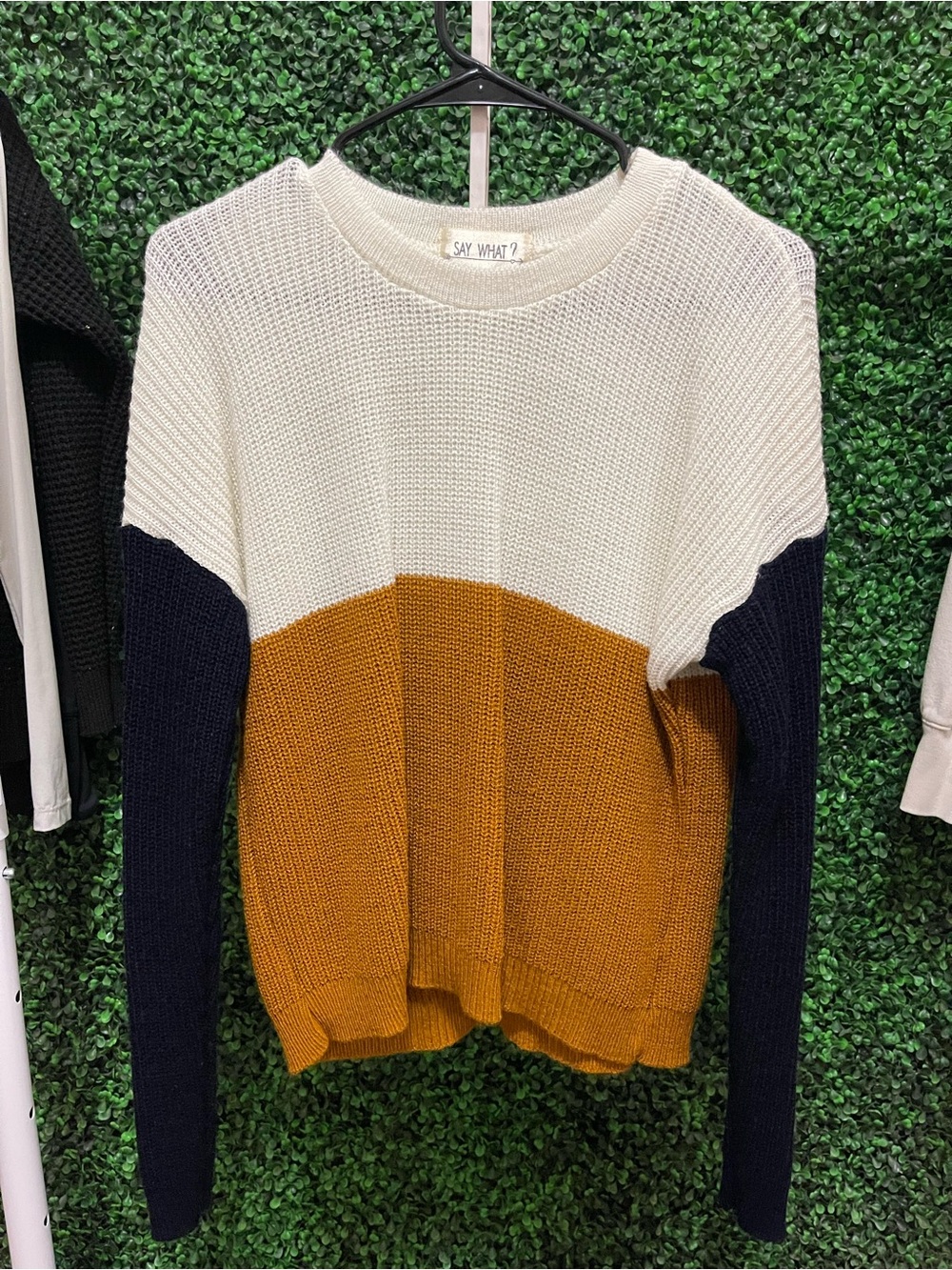 Say What? Colorblock Crewneck Sweater in Cream, Mustard, Navy